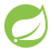 Spring Boot Logo